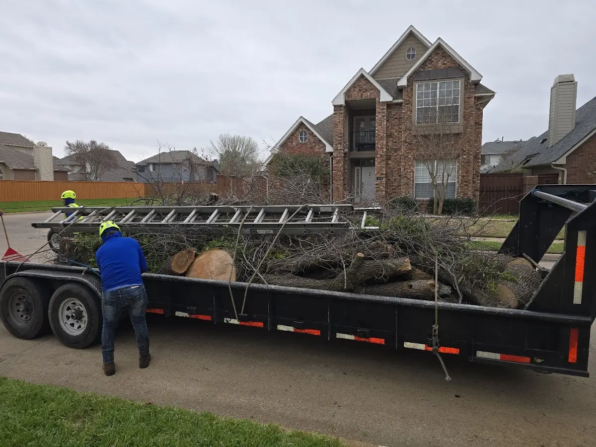 Expert Tree Removal with proper safety equipment in Thompsons